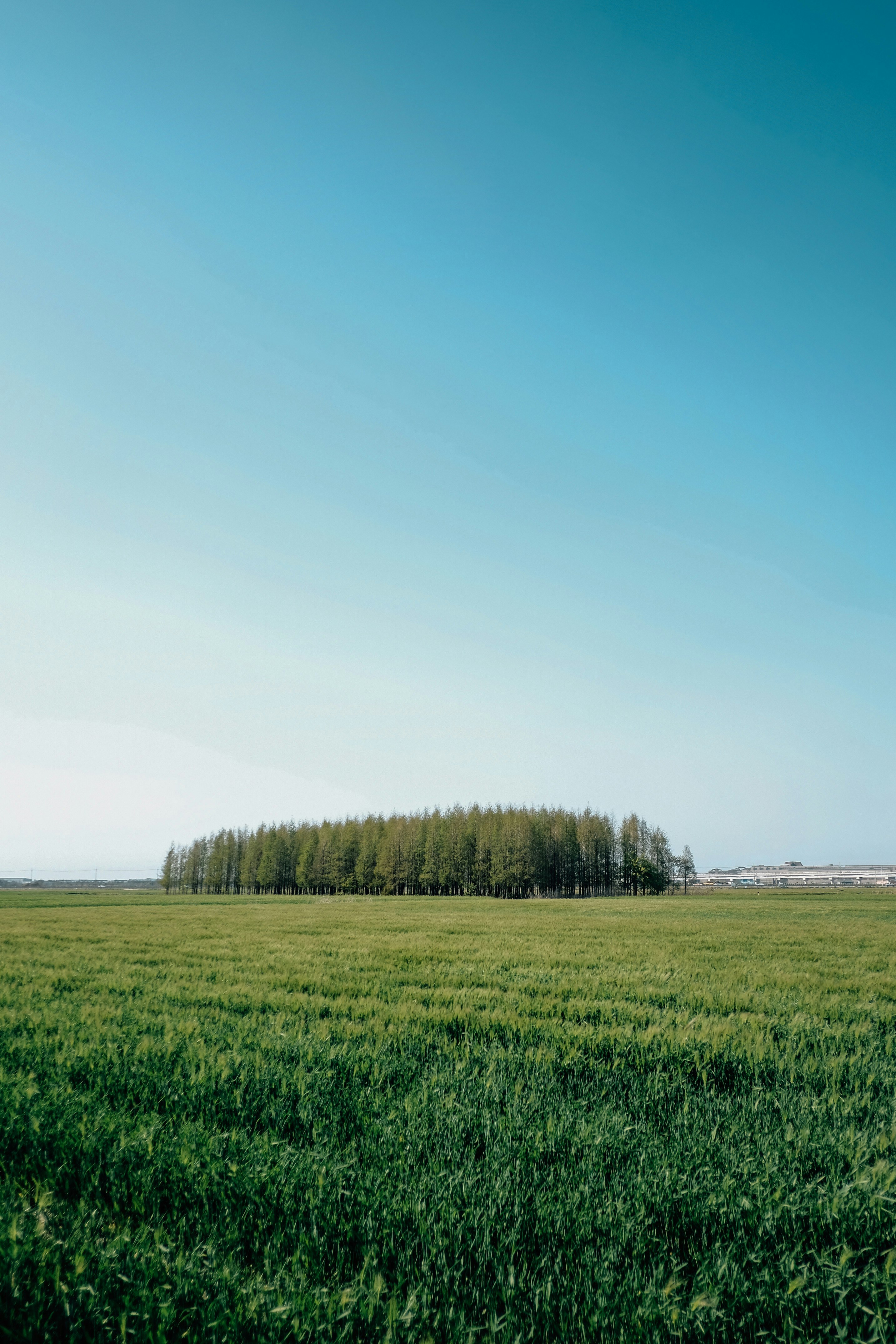 green grass field under blue sky during daytime